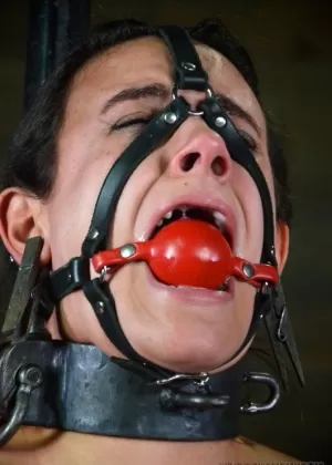 Голые девушки снабжены вибраторами, а веревки связаны и с кляпом во рту