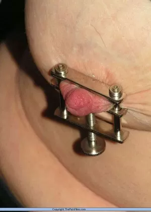 Грудастые самки Дарла Крейн Ариэлла Феррера связаны веревкой и с кляпом во рту