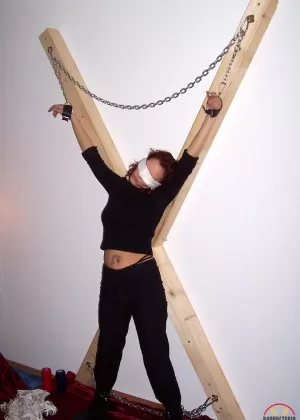 Арию Александер с завязанными глазами заставили заглотить твердый член, пока ее трахали