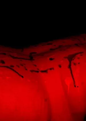 Обнаженную толстушки привязывают к балкам веревками, а затем прикрепляют прищепками