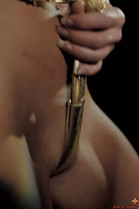 Луи Де Мирабер Шарка сине-черная с золотом