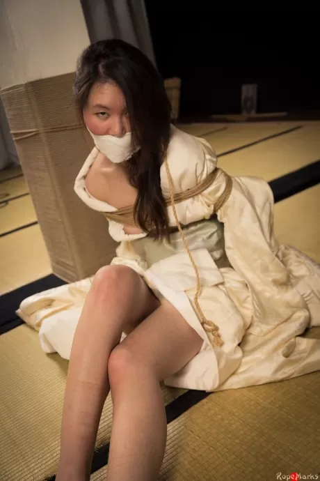 Японской самке безупречного Мяу затыкают рот кляпом во время сеанса шибари