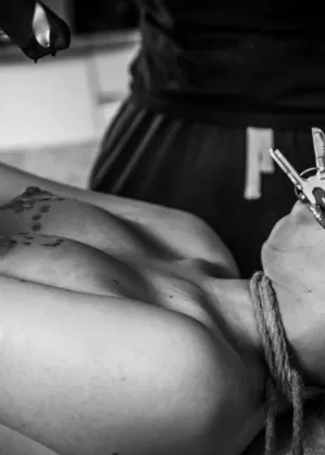 Грудастая латиноамериканка Ариэлла Феррера мастурбировала, подвешенная на веревках